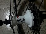 IMG-20121124-03110.jpg
