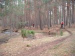 DSCF2013.jpg