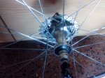 img20121124134620.jpg