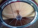 img20121124134559.jpg