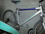 20121122_110822.jpg