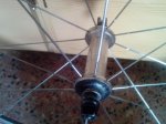 img20121124134604.jpg