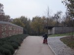 IMG_0449.JPG