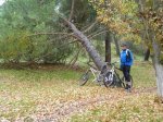 Adaja 25.11.2012 001 (Copiar).jpg