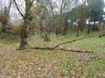 Adaja 25.11.2012 004 (Copiar).jpg