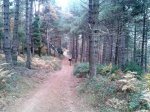 2012-11-24 12.14.08.jpg