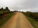 2012-11-24 13.30.52.jpg