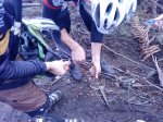 DSC07427.JPG