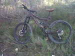 IMG-20121123-00310.jpg