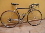 vitus  (5) (640x480).jpg