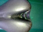 25112012850.jpg
