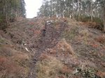 2012-11-25-145.jpg