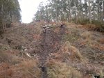 2012-11-25-149.jpg