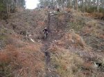 2012-11-25-151.jpg