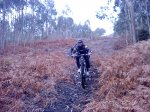 DSC07418.JPG