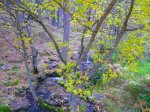 Foto11.JPG