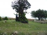 Foto17.JPG