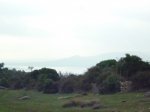 Foto19.JPG