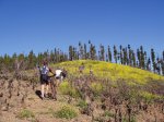 foromtb0407tejedartenara 004.jpg