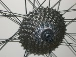Imagen 011.jpg
