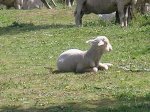 DSCN4254.JPG