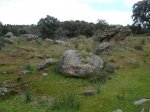 DSC00191_redimensionar.JPG
