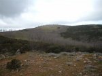 Sonseca_020.JPG