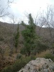 Sonseca_025.JPG