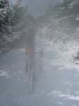 DSCN0523.JPG
