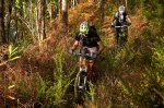 _DSC0216web.jpg