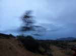 IMG_3090.JPG