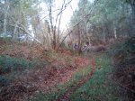 DSC00250 (800x600).jpg
