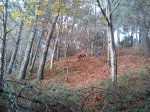 DSC00252 (800x600).jpg