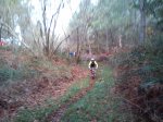 DSC00254 (800x600).jpg