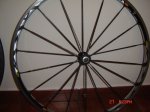 DSC02652.JPG