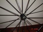 DSC02660.JPG