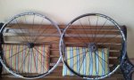 20121124_155313.jpg