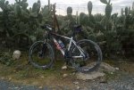 002-RUTA.jpg