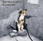 ImageUploadedByTapatalk1354142524.404705.jpg