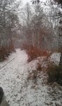 IMG-20121128-WA0000.jpg