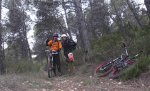 jalance-5.jpg