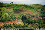 rwanda.jpg