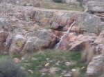 Foto0011.jpg