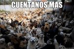 cuentanos-mas.jpg