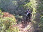 IMG_3331 (Copiar).JPG