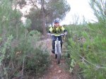 IMG_3338 (Copiar).JPG