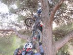 IMG_3343 (Copiar).JPG
