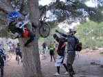 IMG_3353 (Copiar).JPG