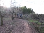 IMG_3366 (Copiar).JPG
