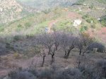 IMG_3370 (Copiar).JPG
